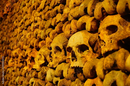 skull in catacombs Paris