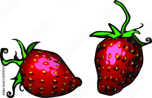 illustration of strawberry with highlights close-up isolated on white background, voluminous berries