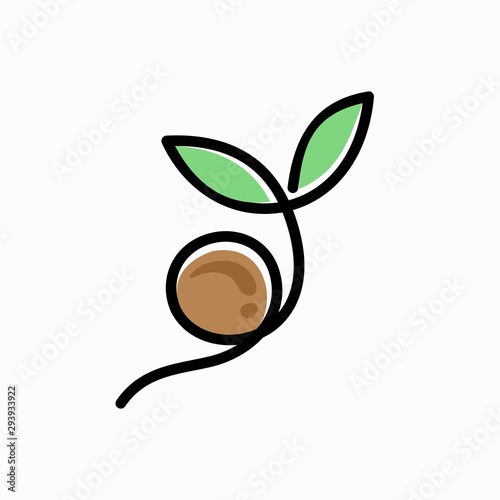 seed plants logo with modern color and single line photo