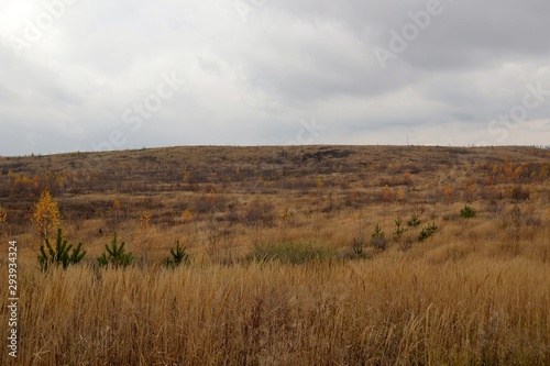 A sad view of treeless wastelands under a gloomy autumn sky