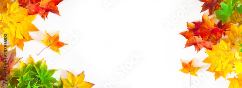 Autumn long background with red, yellow, orange maple leaves