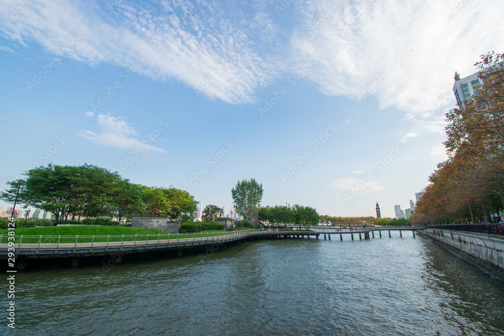 Fototapeta premium landscape with river and trees