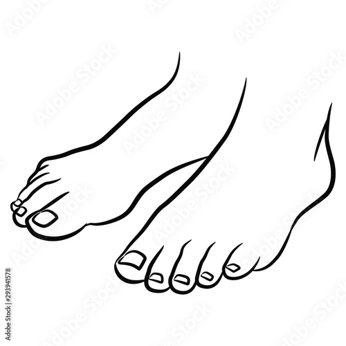 Two standing bare human feet. Black and white linear silhouette. Isolated vector illustration. 