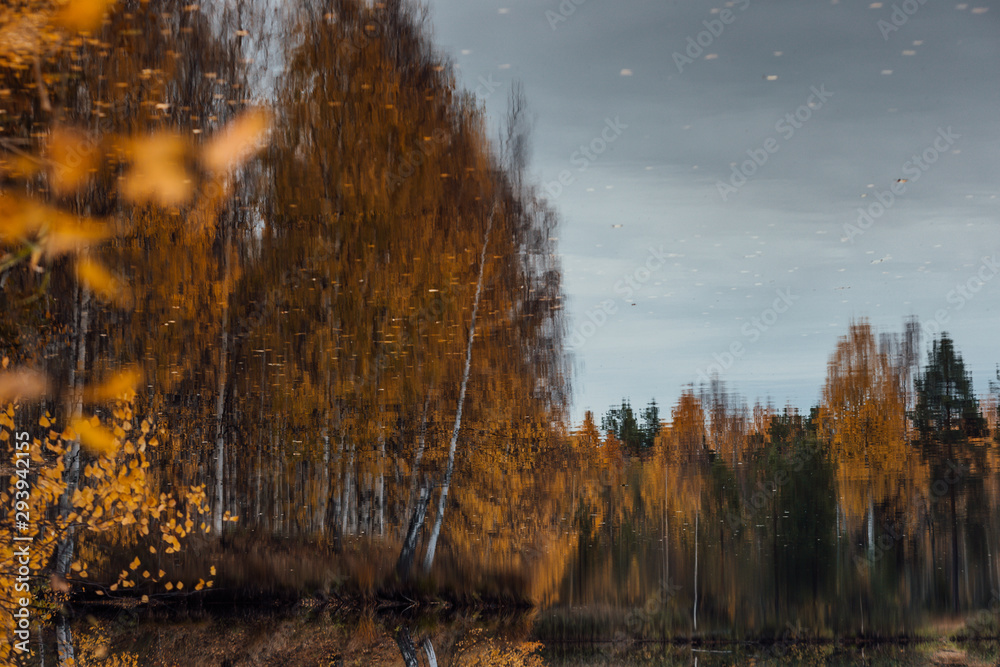 Reflection of the autumn forest in the mirror surface of the lake Reflection of the autumn forest in the mirror surface of the lake