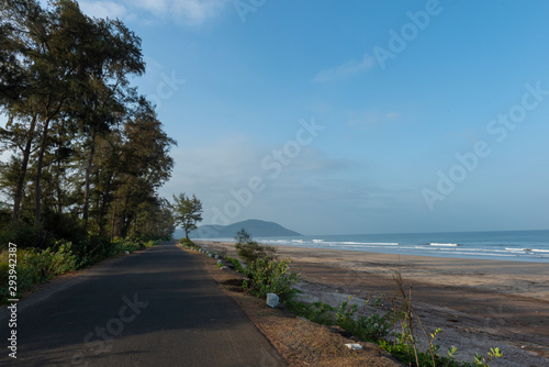 Fototapeta Naklejka Na Ścianę i Meble -  Road to Velas beach,Raigad,Maharashtra,India