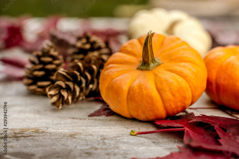 Pumpkins, dried leaves and pine wiht Autumn composition on wood background. Autumn, fall, halloween concept. Flat lay, top view, copy space Pumpkins, dried leaves and pine wiht Autumn composition on wood background. Autumn, fall, halloween concept. Flat lay, top view, copy space