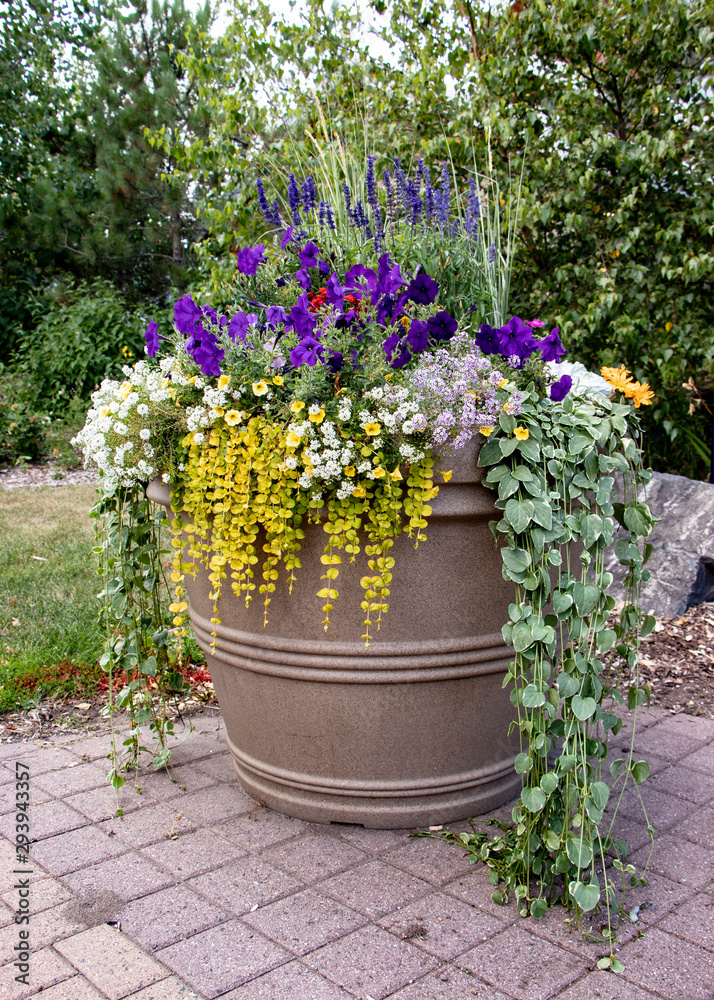 Large Planter with Multiple Flower Speciies