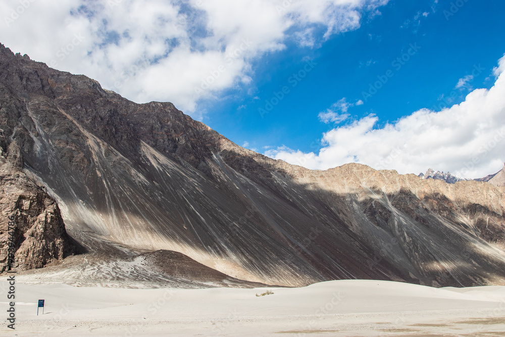 Beautiful sand dune and high mountain at Nubra valley, Leh Ladakh, India.