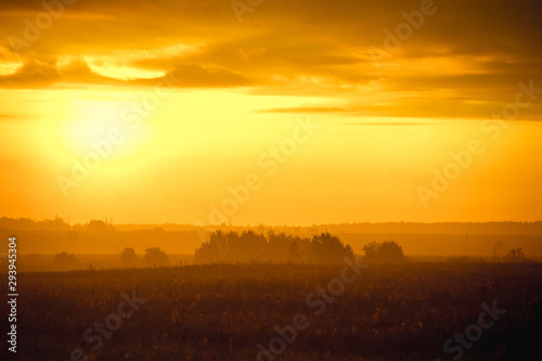 Morning summer foggy dawn in the field. Summer landscape. The sun is waking up. The sky and the sun. Golden sky. The lights of a sun. Golden dawn. © alenka2194