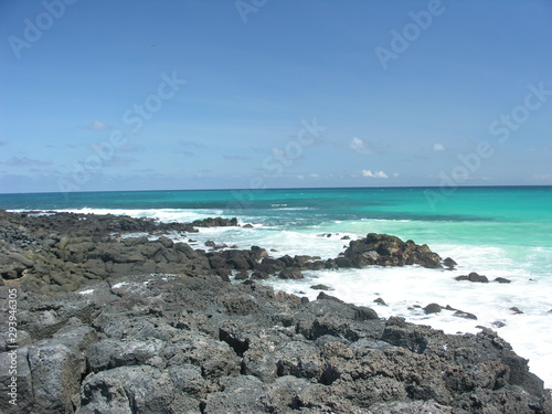 Tortuga Bay beach in Galapagos islands  ecuador