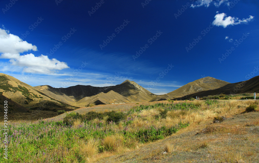 Beautiful Scenery And Landscape In New Zealand