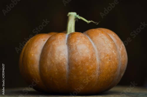 composition with pumpkin closeup. autumn cozy still life. Happy Thanksgiving and Halloween concept. copy space