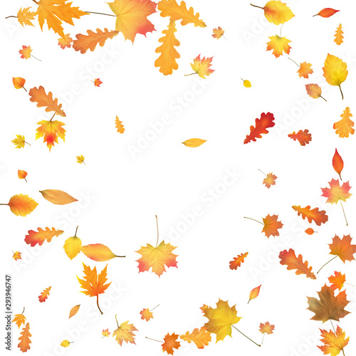 Autumn background with golden autumn leaves. Vector.