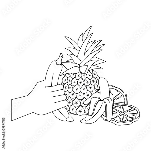 Tropical fruits design