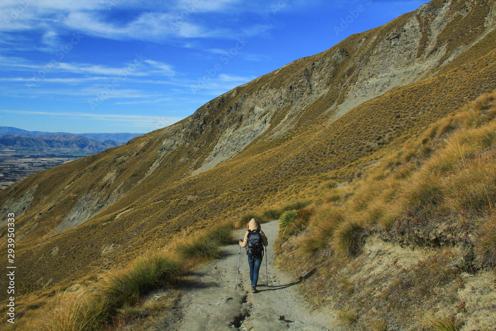 Trekking In Roys Peak Wanaka New Zealand