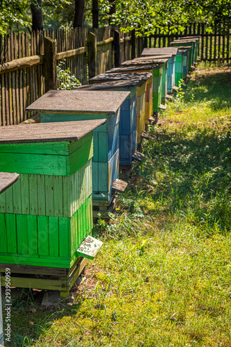 Wooden beehives with bees in countryside, Poland