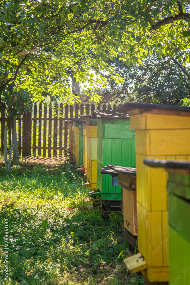Wooden apiary full of bees in summer garden Wooden apiary full of bees in summer garden