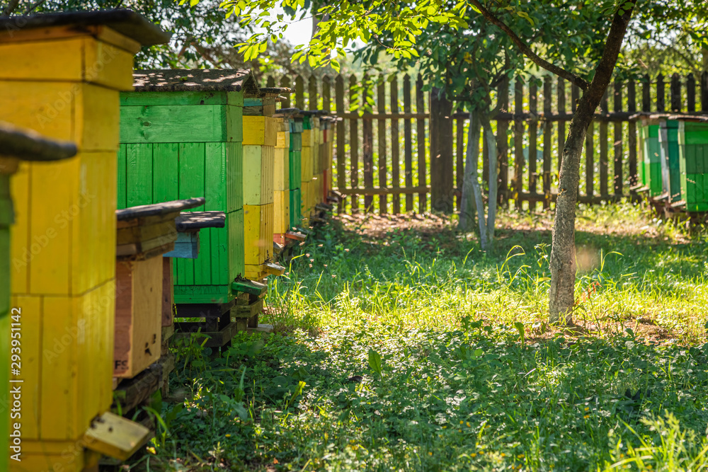 Handmade apiary in summer sunny day, Europe Handmade apiary in summer sunny day, Europe