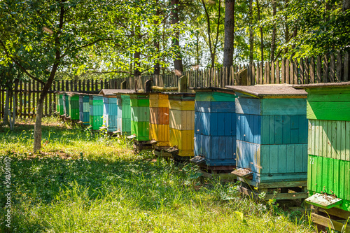 Old apiary in the summer garden, Europe