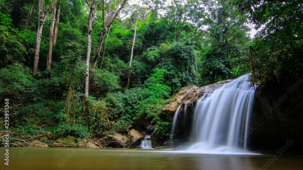 waterfall in the forest
