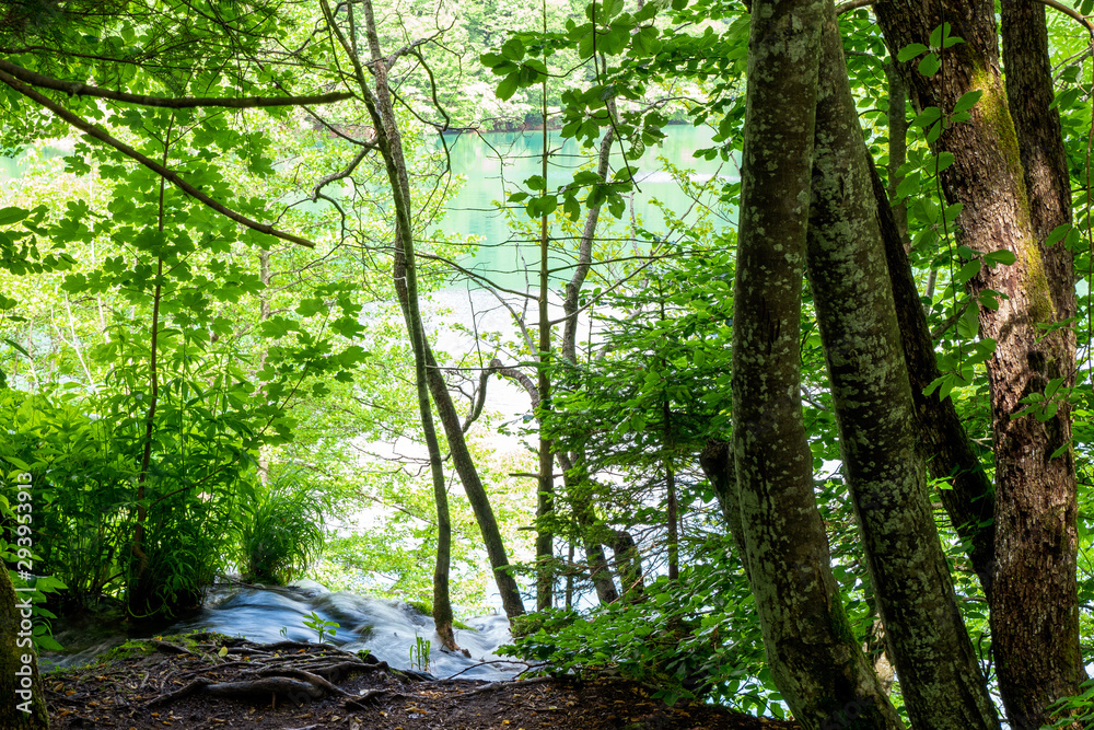 Fresh water rushing down the mountain slope into an azure colored lake at the Plitvice Lakes National Park in Croatia Fresh water rushing down the mountain slope into an azure colored lake at the Plitvice Lakes National Park in Croatia