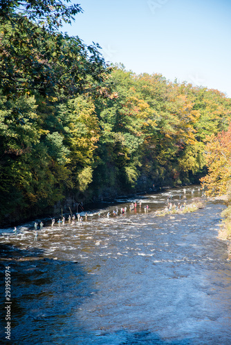 Salmon Fisherman on the Salmon River, Oswego County, New York