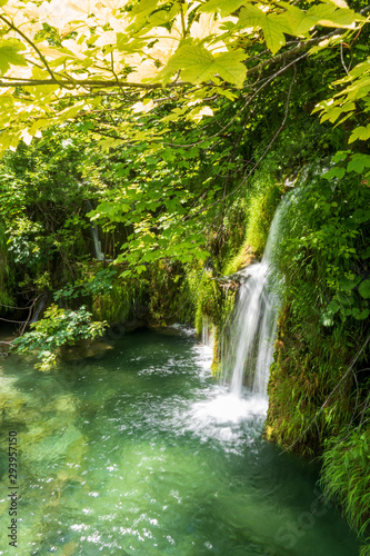 The pure fresh water of a small creek cascades into the azure coloured crystal clear water of a pond at the Plitvice Lakes National Park in Croatia © schusterbauer.com
