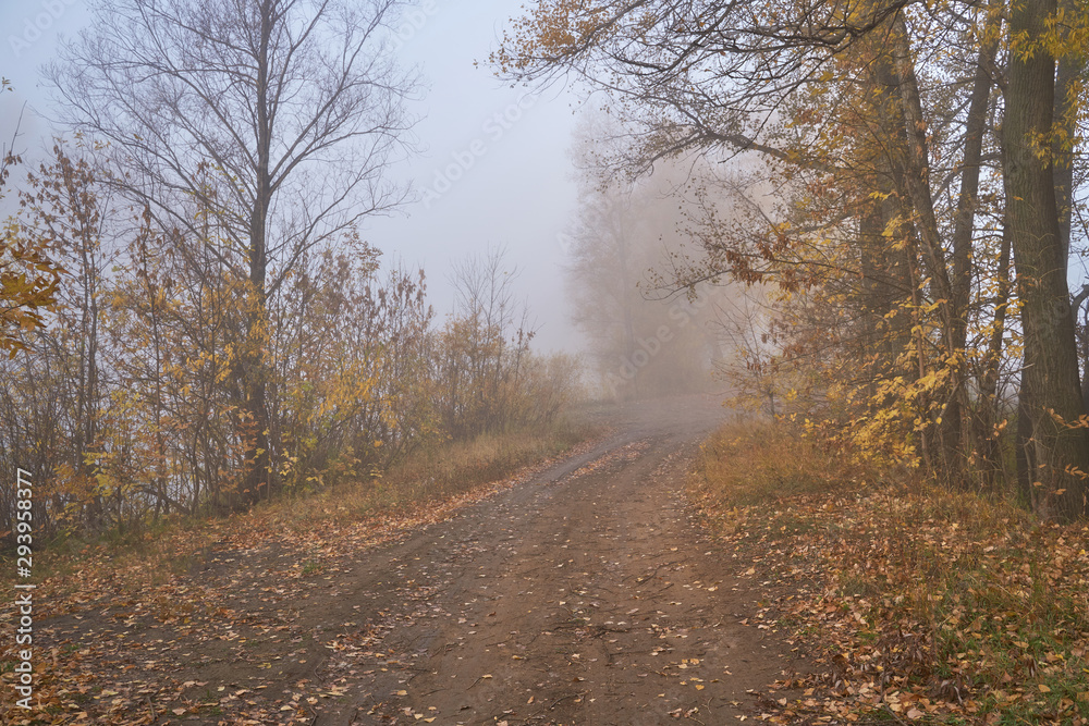 A quiet autumn dawn over the lake in sunlight. Fresh fog creeps over the ground.