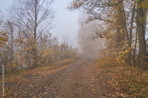 A quiet autumn dawn over the lake in sunlight. Fresh fog creeps over the ground.