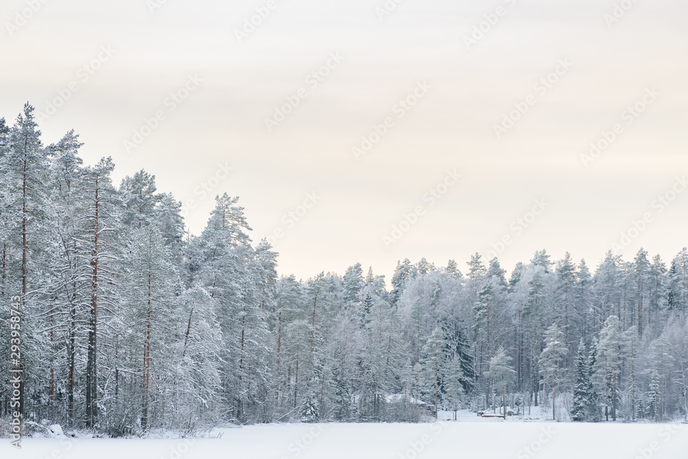 The forest on the ice lake has covered with heavy snow and sky in winter season at Lapland, Finland. The forest on the ice lake has covered with heavy snow and sky in winter season at Lapland, Finland.