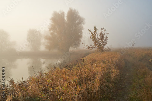 A quiet autumn dawn over the lake in sunlight. Fresh fog creeps over the ground.
