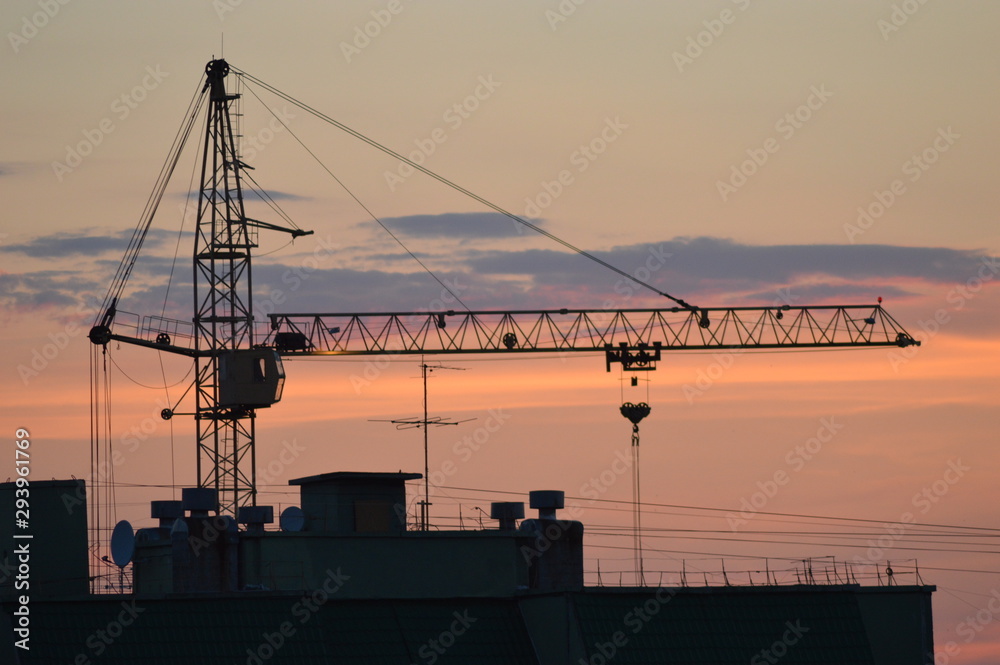Obraz premium cranes at sunset