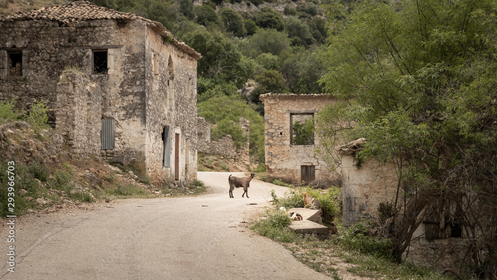 goat on road in abandoned earthquake village Palia Plagia in Greece