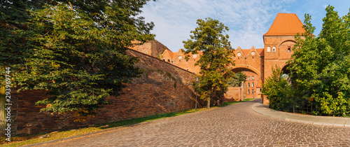Torun, Medieval Teutonic castle