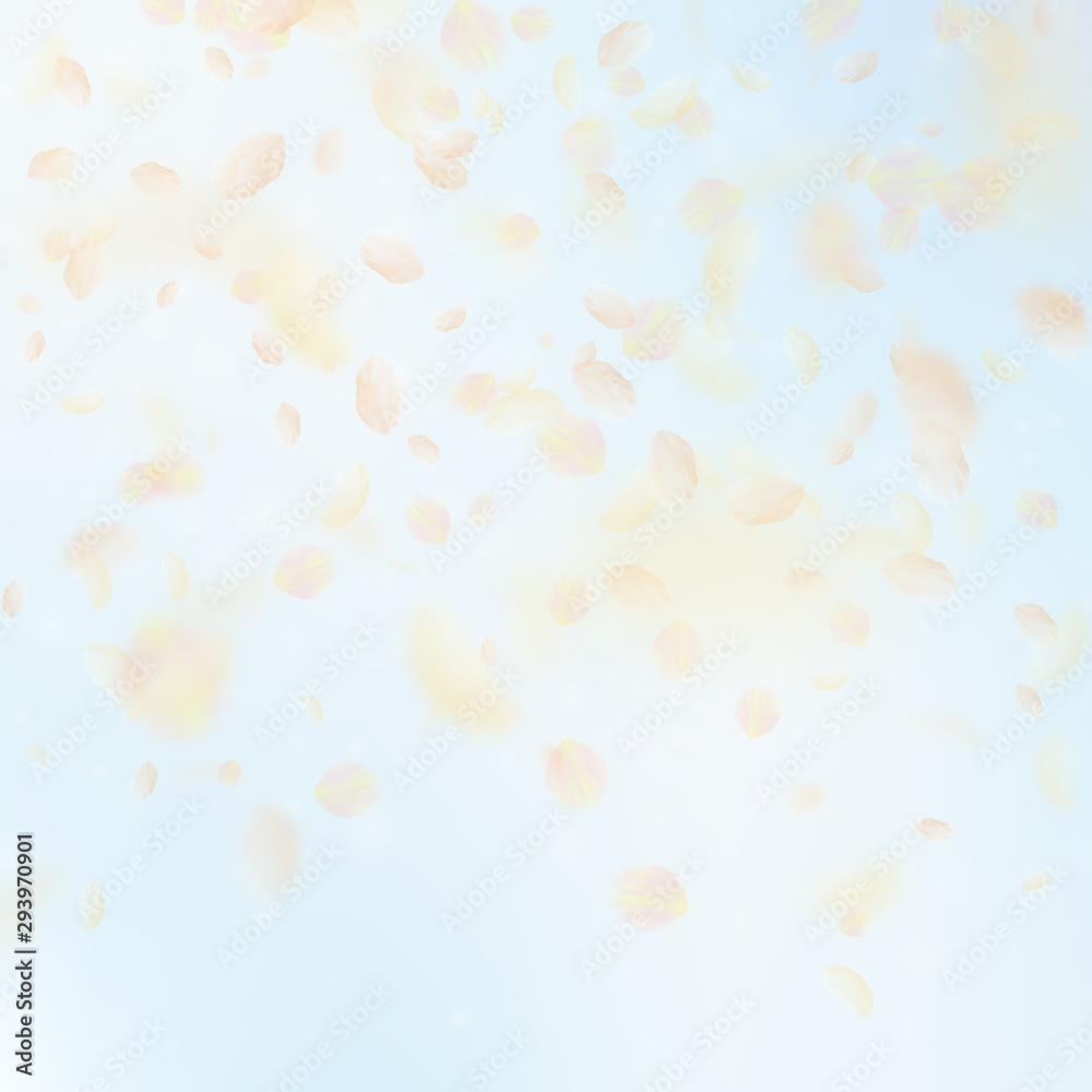 Yellow orange flower petals falling down. Exceptio Yellow orange flower petals falling down. Exceptio