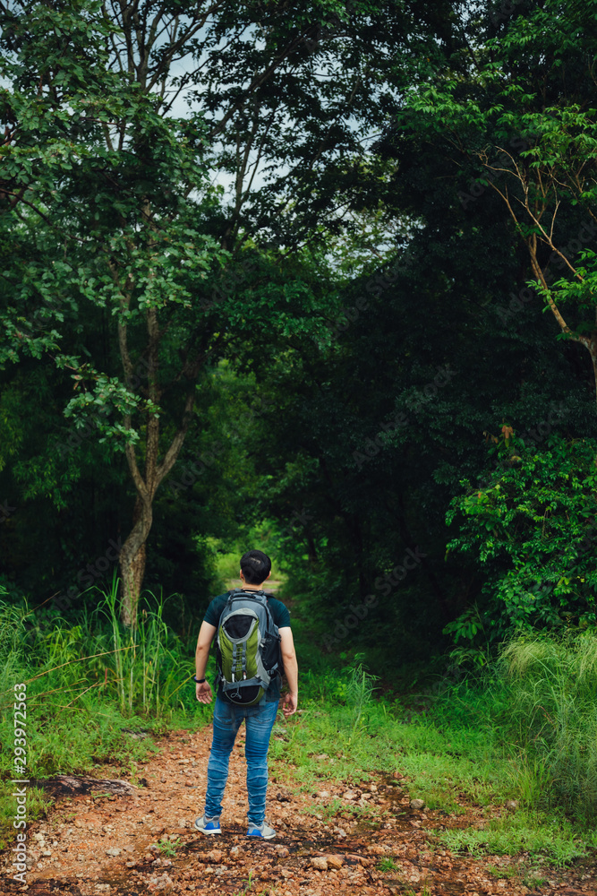 Tourist hiking in the jungle forest concept. Man backpacker hiking alone outdoor active lifestyle travel adventure