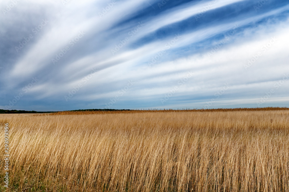 Breuilpont wheat fields in Normandy country 