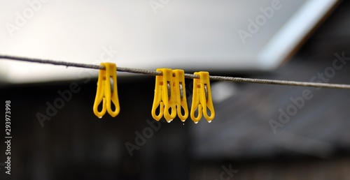 yellow clothespins clothes peg after rain macro shot photo