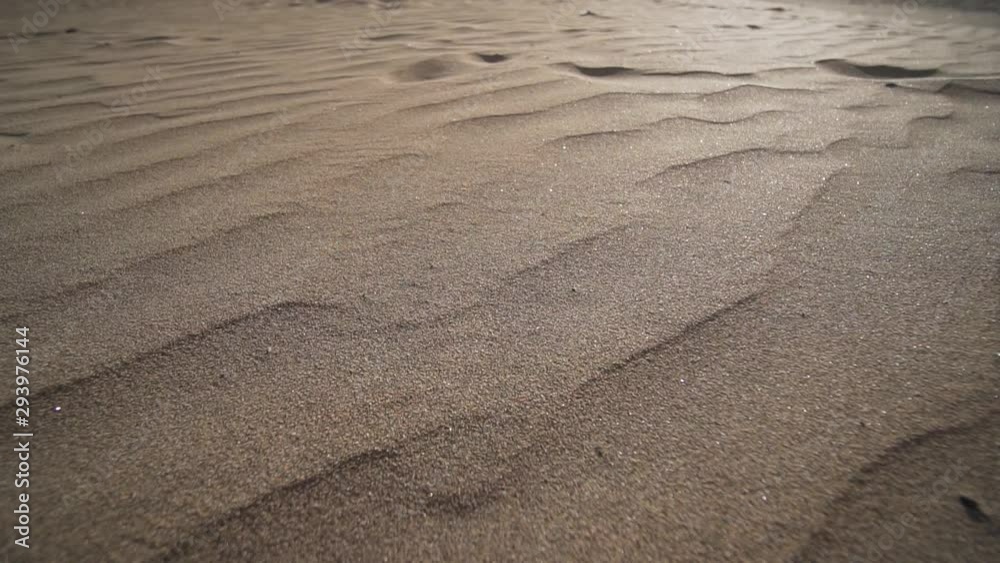 Desert sand texture at sunset. Dune close up, wide angle. Natural material