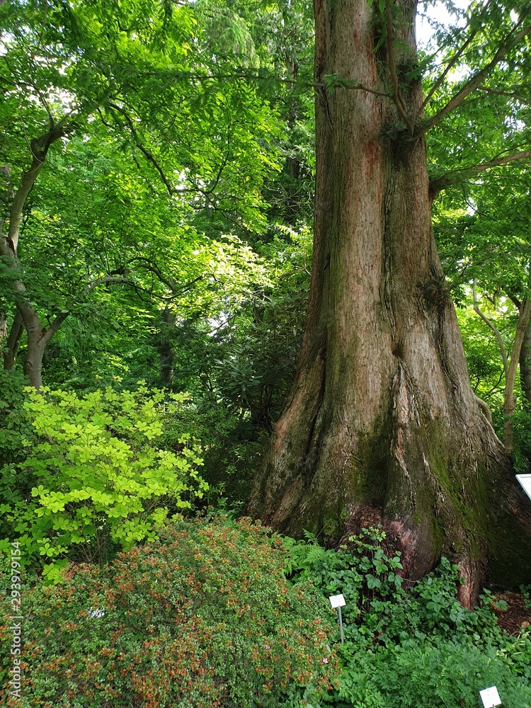 Botanischer Garten Frankfurt 