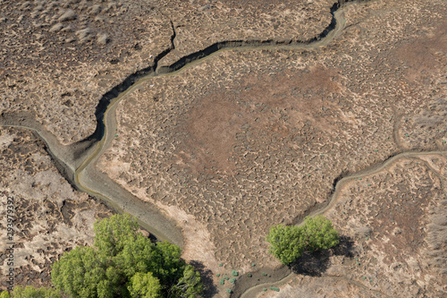aerial view of the mudflat coastline at low tide with creek winding through the mud and mangroves