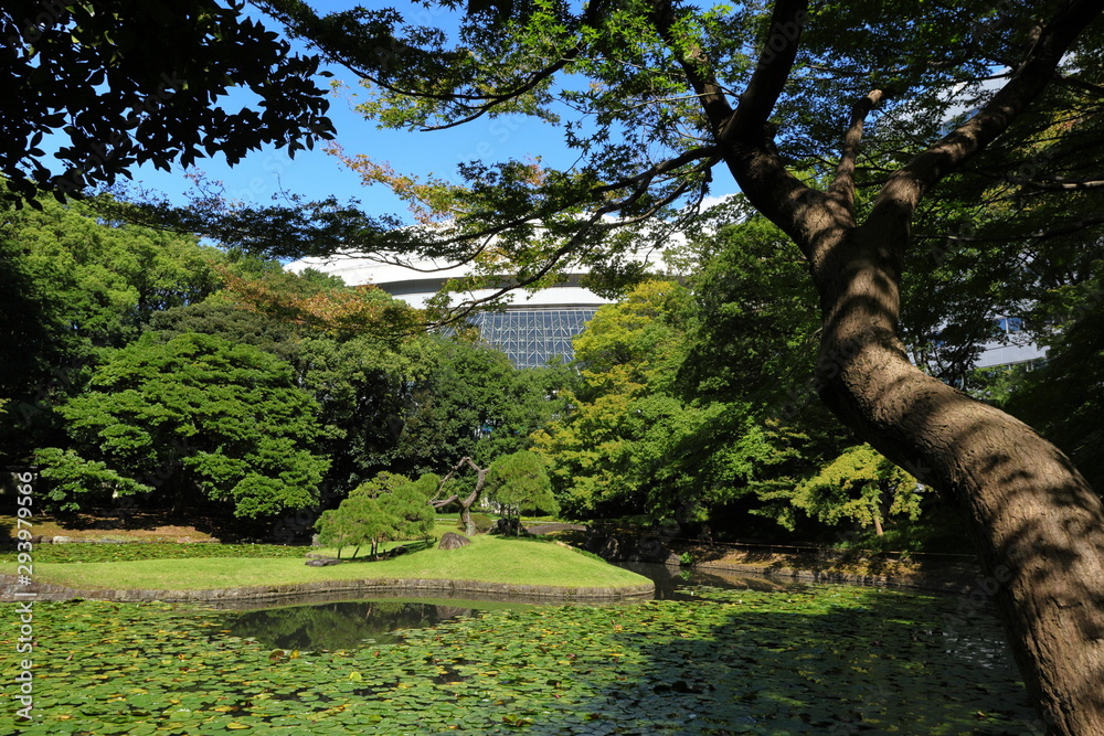 Fototapeta premium 秋の日本庭園
