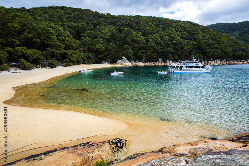Beautiful Sealers Cove in the Wilsons Promontory National Park, Victoria, Australia.