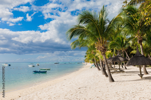 Beautiful view of luxury beach in Mauritius. Transparent ocean with boats, beach, coconut palms and sky © artifirsov
