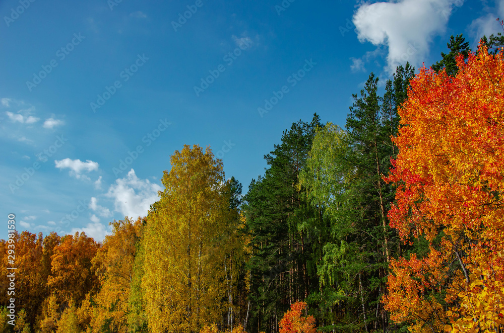 Autumn landscape. Ural region, Chelyabinsk region. Autumn landscape. Ural region, Chelyabinsk region.