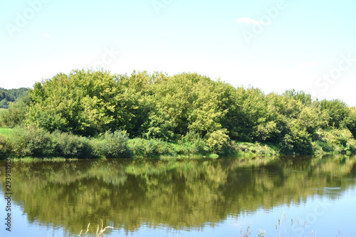Schilderij op canvas thickets of willow on the banks of a quiet river