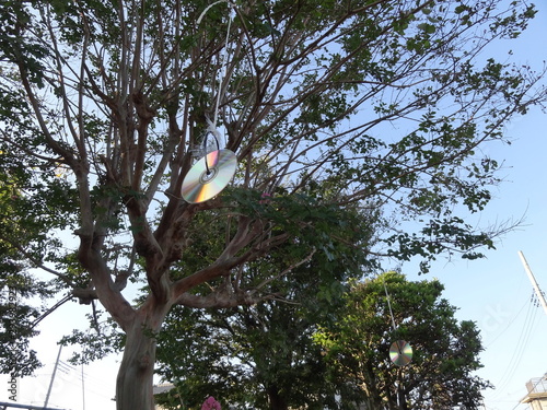 ゴミ置き場のカラスよけ