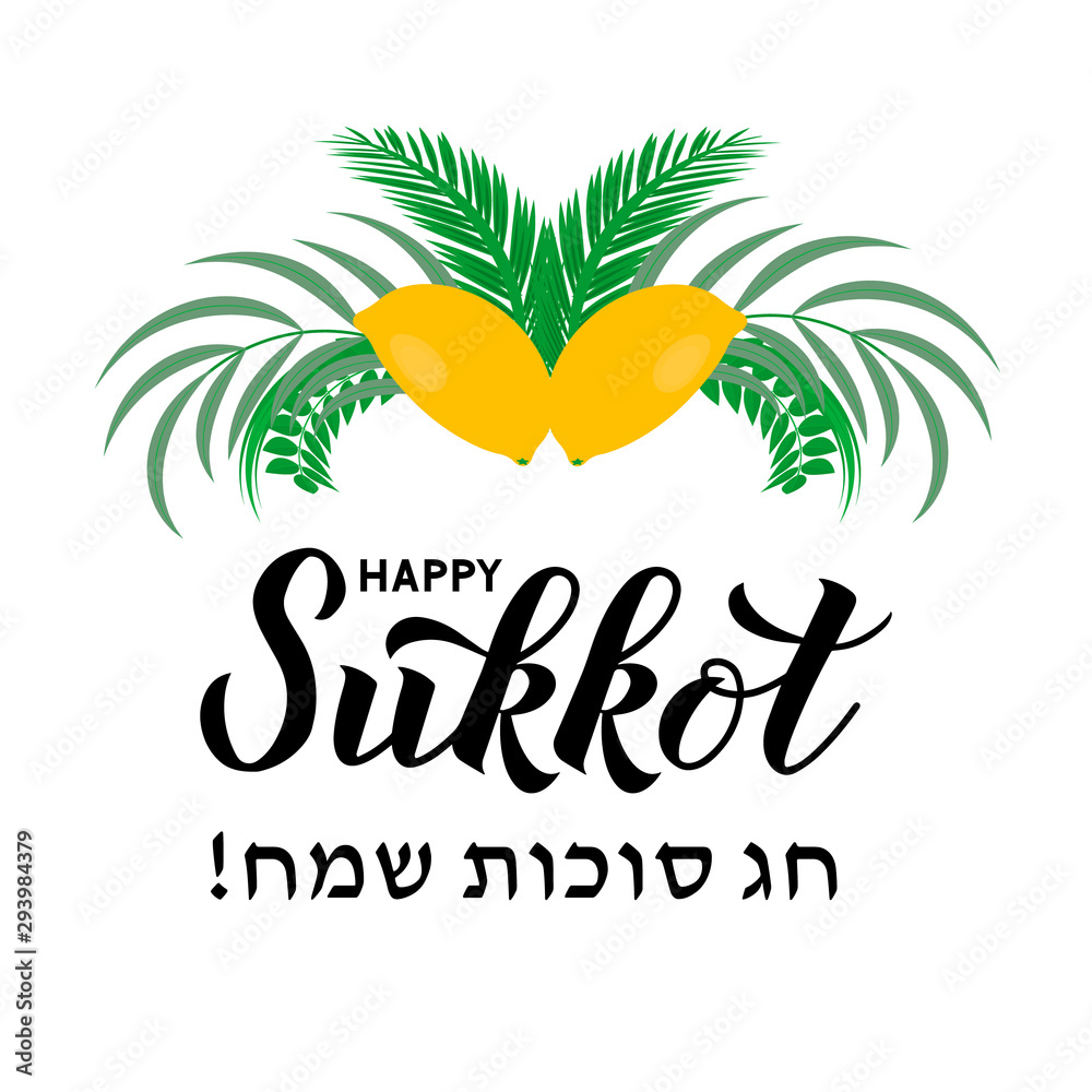 Naklejka premium Happy Sukkot calligraphy lettering with four species etrog, lulav, Arava, Hadas leaves. Jewish traditional holiday celebration poster. Vector template for banner, greeting card, postcard.