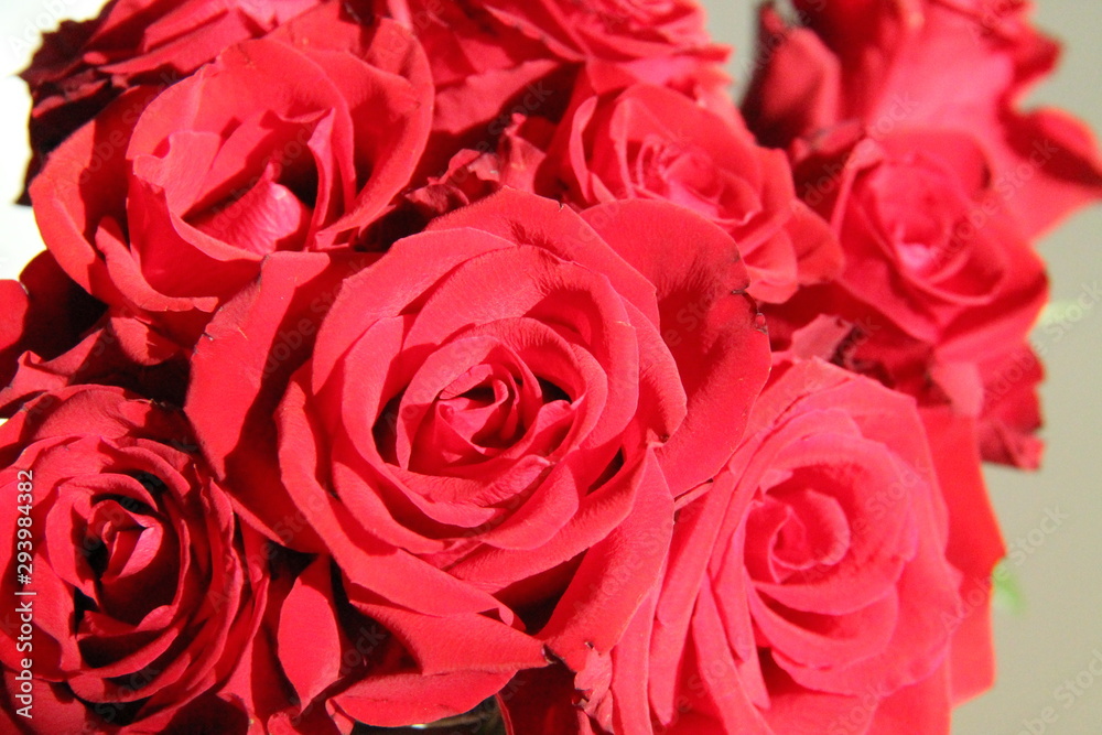 bouquet of red roses bouquet of red roses