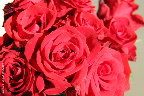 bouquet of red roses